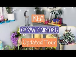 Spring Plant Updates ! Part 1 🌱🩵