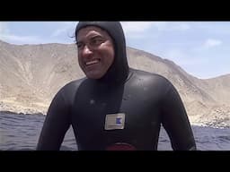 Chañaral, Isla de los Delfines - Remasterizado