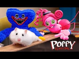 🔴 Hamster Maze Live 24/7 | The World's Largest Hamster Monster Maze