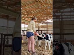 calf chat friday!!! #cattle #eatbeef #farm #farmgirl #farmlife