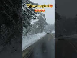 #winterwonderland #snow #nature  #trending #viral #shorts