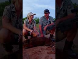 Hog goes stiff