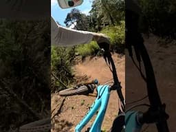 Trails of Oaxaca Mexico