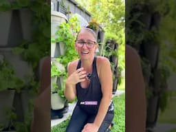 Florida Planting Tips for June