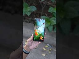 OPPO's Durable Phone