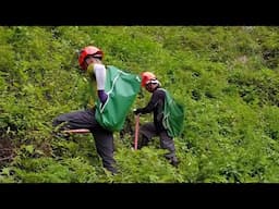 MODORINAE: A Young Entrepreneur’s Innovative Idea_Channel JAPAN #01/2025