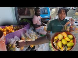 Chicken farm update, we looked and sold mango today, look what happened 🥭 🤦🏽‍♂️