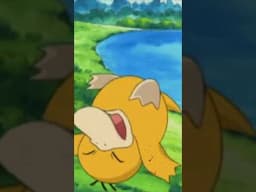Psyduck's Bad Luck #pokemon