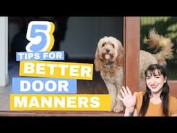 Stop Your Dog from Jumping and Running Out the Door | 5 Tips for Better Door Manners