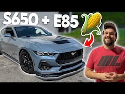 We Ran E30 in a 2025 Mustang GT S650…Here's What Happened!