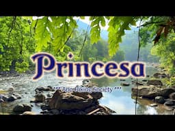 PRINCESA - (Karaoke Version) - in the style of Apo Hiking Society