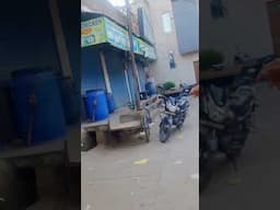 Crack down illegal slaughterhouse cum meat shops in Manimajra - Chandigarh