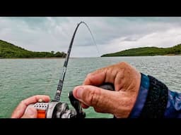 NOBODY Has Ever Targeted These Fish!