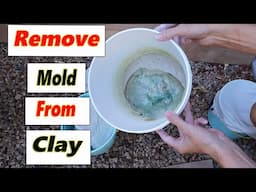 The Best Way To Remove Mold From Clay - This Method Worked The Best.