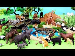 Exploring Small and Big Animals - Safari Animals and Dinosaur Toys For Kids