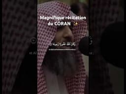 Magnifique récitation du Coran sourate Al‑Furqān (Le Discernement) | Muhammad Al‑Luhaidan #islam