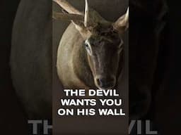 You aren’t made to be prey. You’re made to be a warrior (Ephesians 6:10-18).