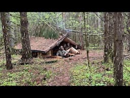 A Cozy Shelter In The Wild Forest. Take Shelter From Bad Weather