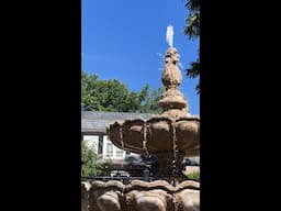 Summer campus beauty