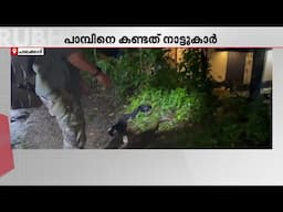 പാലക്കാട് തൃത്താലയിൽ ഒൻപതടി നീളമുള്ള പെരുമ്പാമ്പിനെ പിടികൂടി | Palakkad | Thrithala