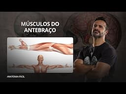 AO VIVO: Músculos do Antebraço