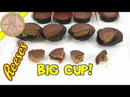 Hershey's Peanut Butter Big Cups Lava- Caramel - Spring Sprinkles Comparison