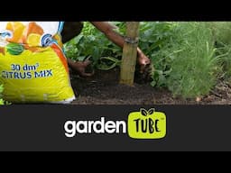 How to use Bark Unlimited Citrus Mix