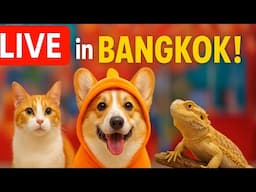 LIVE from Pet Expo Thailand 2025 🐾 Cutest Pets, Crazy Booths & IRL Chaos in Bangkok!