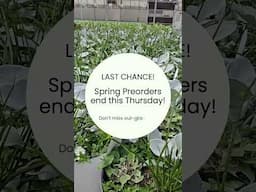 📣 Last Call for Spring Garden Favorites!