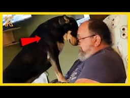 🐾🐕The SECRET to Making Your Dog a COMEDY STAR!
