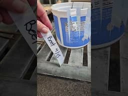homemade plant labels