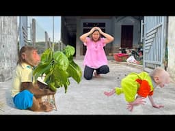 CUTIS hides for causing big trouble ! Mom panics cries looking for baby Monkey😓
