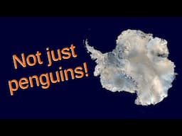 Antarctica's Forgotten Countries
