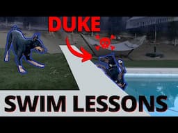Did Prince try to "OFF" Duke?  Teach your dog to not drown in your pool.