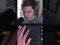 Remixing a Sea Lion into Drum and Bass