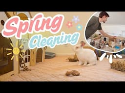 Spring Cleaning! 🌷🐰🧼 Cage Cleaning, New Toys, & Updates!