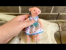 Our human rat Daisy dances on a bull skull!
