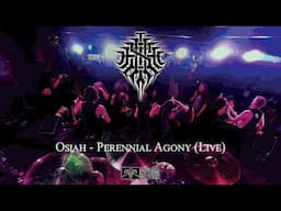 Osiah - Perennial Agony (Live)