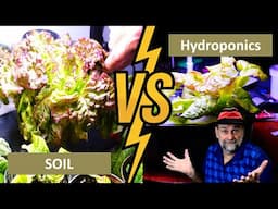 Lettuce Grows FASTER in Hydroponics or Soil?