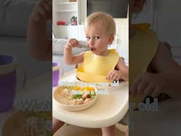 You Won’t Believe What My 1-Year-Old Ate This Week 👀