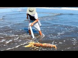 Saca la carnada de la playa, la Pone en el Anzuelo y logra una Pesca Sorprendente