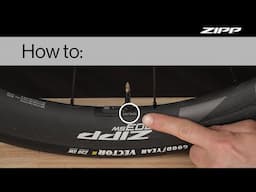 Zipp | How To: Locate Zipp Wheel Serial Numbers