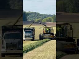 scenes from first crop hay #newholland #modernfarming #choppinghay #tractor #farmlife