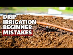 5 Beginner Drip Irrigation Mistakes to Avoid