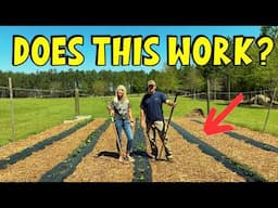 How Is Our Garden 1 Year AFTER Covering With WOODCHIPS?
