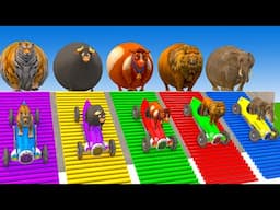 Long Slide Game With Elephant Gorilla Buffalo Hippopotamus Tiger - 3d Animal Game - Funny 3d Animals