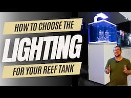 Choosing lighting for your Reef Tank!