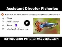 Assistant Director Fisheries|| Reproduction in Fishes|| PPSC Paper|Spermatogenesis and oogenesis