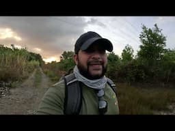 SOLO ADVENTURE IN THE BUSH! Walking Into A Mangrove Swamp In Search Of Fish - Trinidad, Caribbean