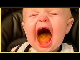 Baby Food FAILS Compilation: You Won't Believe What Happens Next!